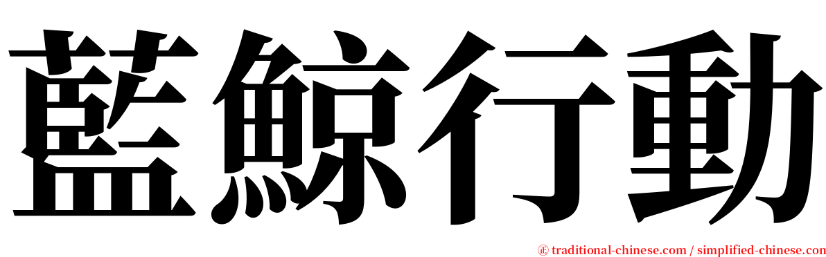 藍鯨行動 serif font