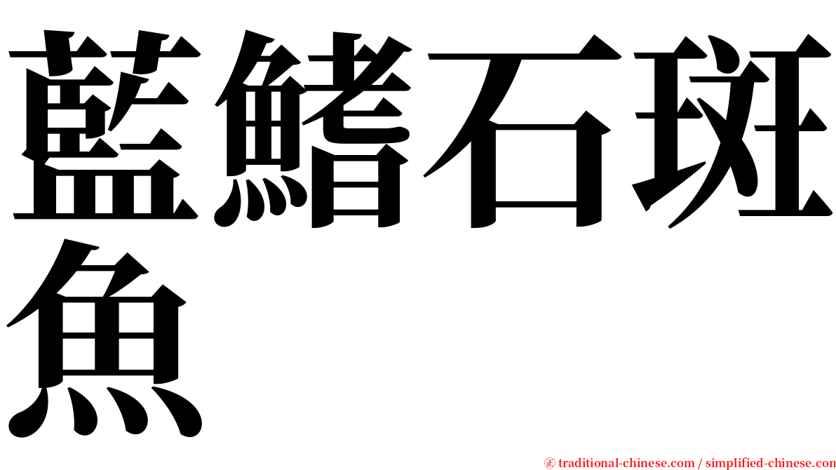 藍鰭石斑魚 serif font