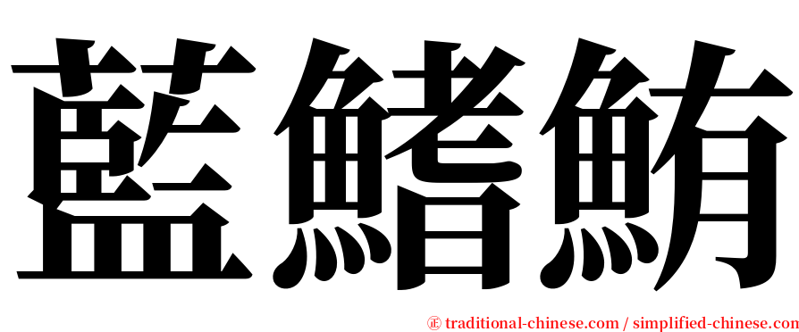 藍鰭鮪 serif font