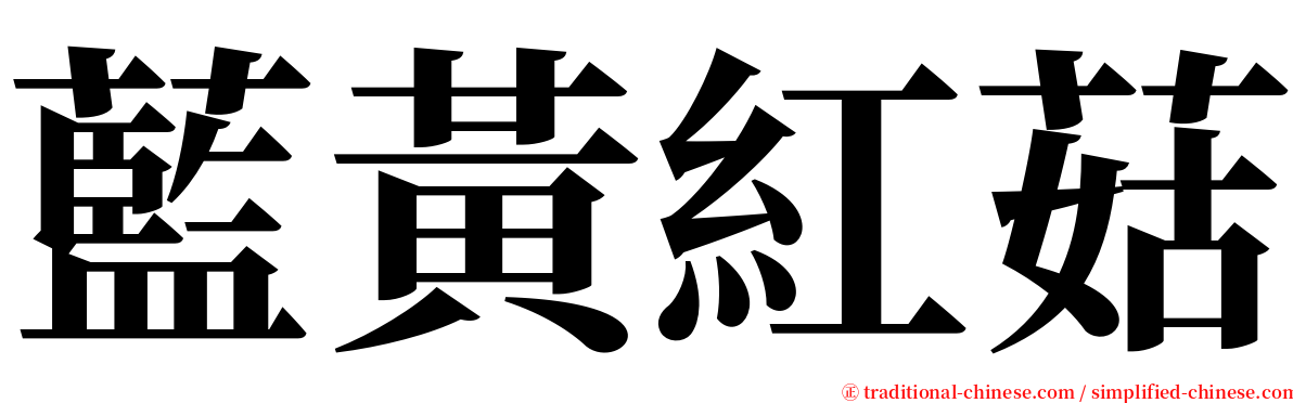 藍黃紅菇 serif font