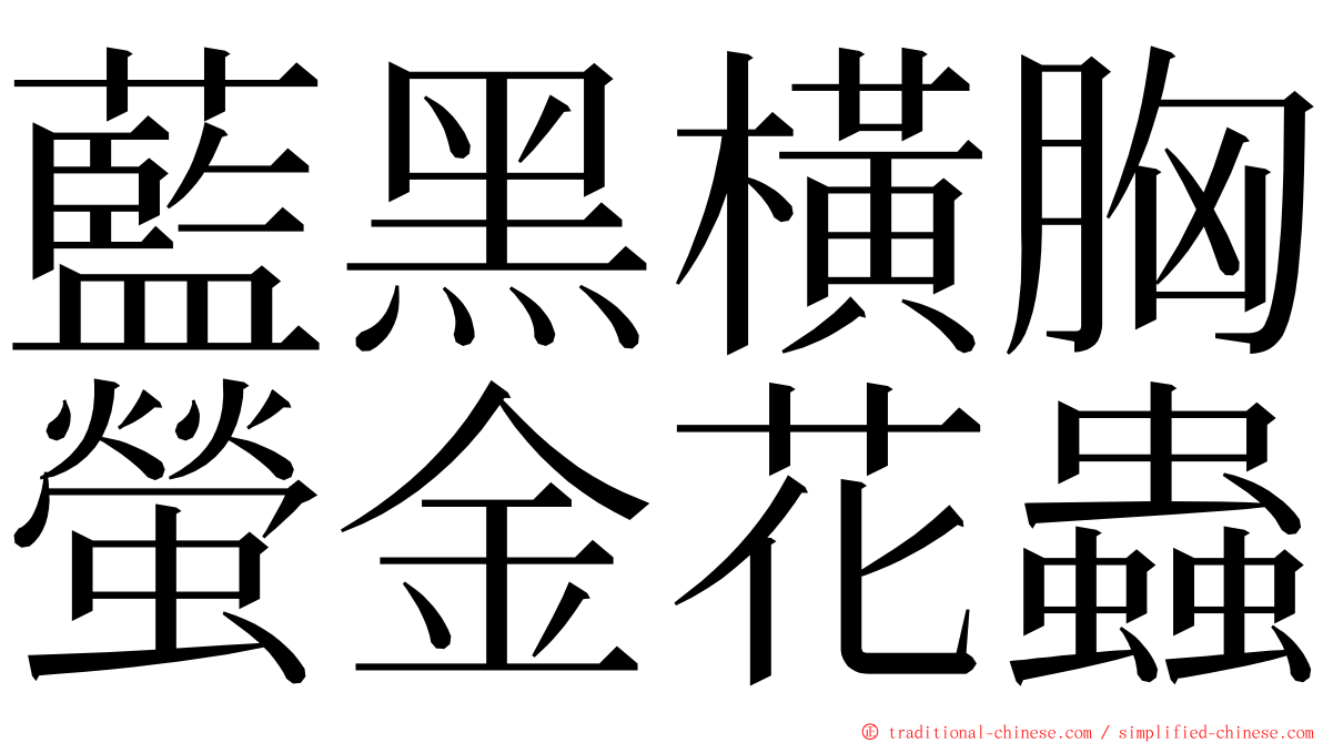 藍黑橫胸螢金花蟲 ming font