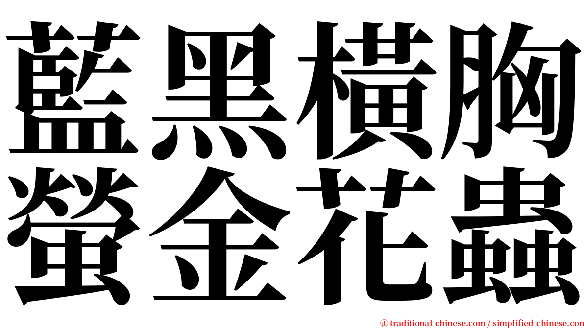 藍黑橫胸螢金花蟲 serif font