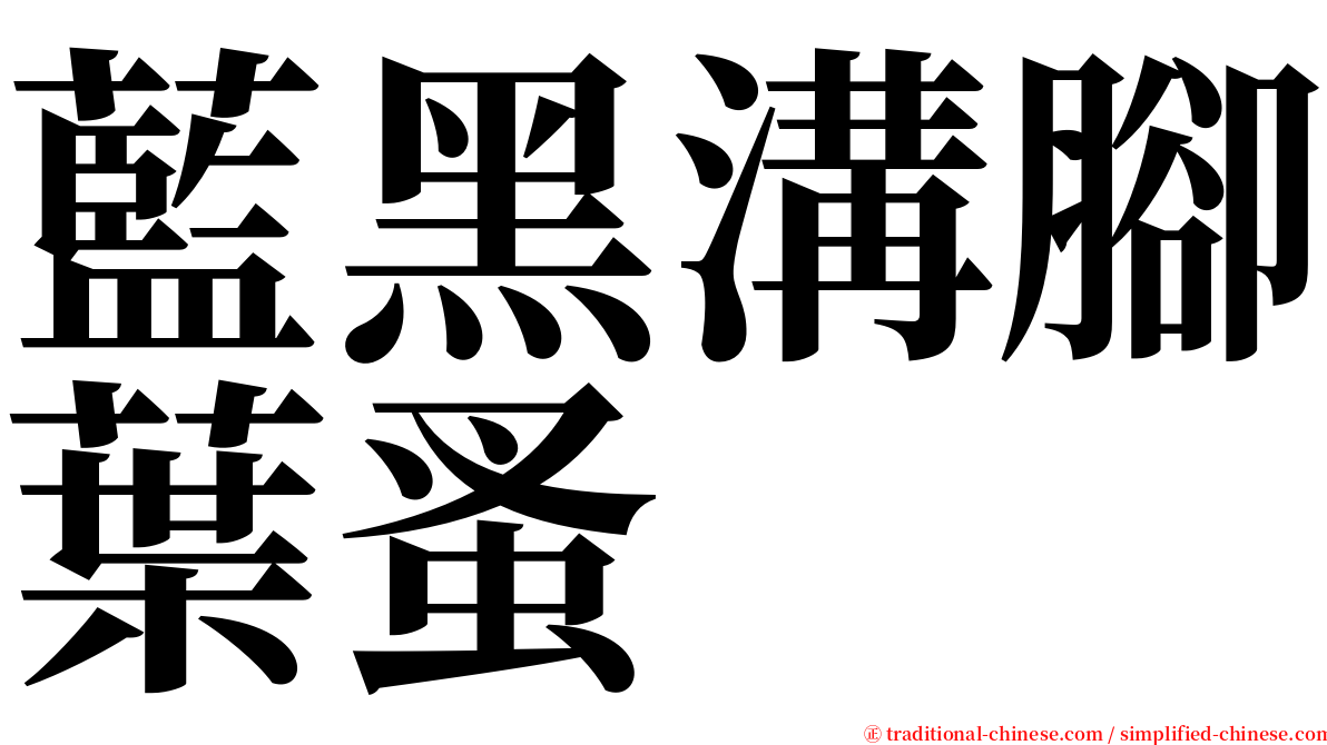 藍黑溝腳葉蚤 serif font