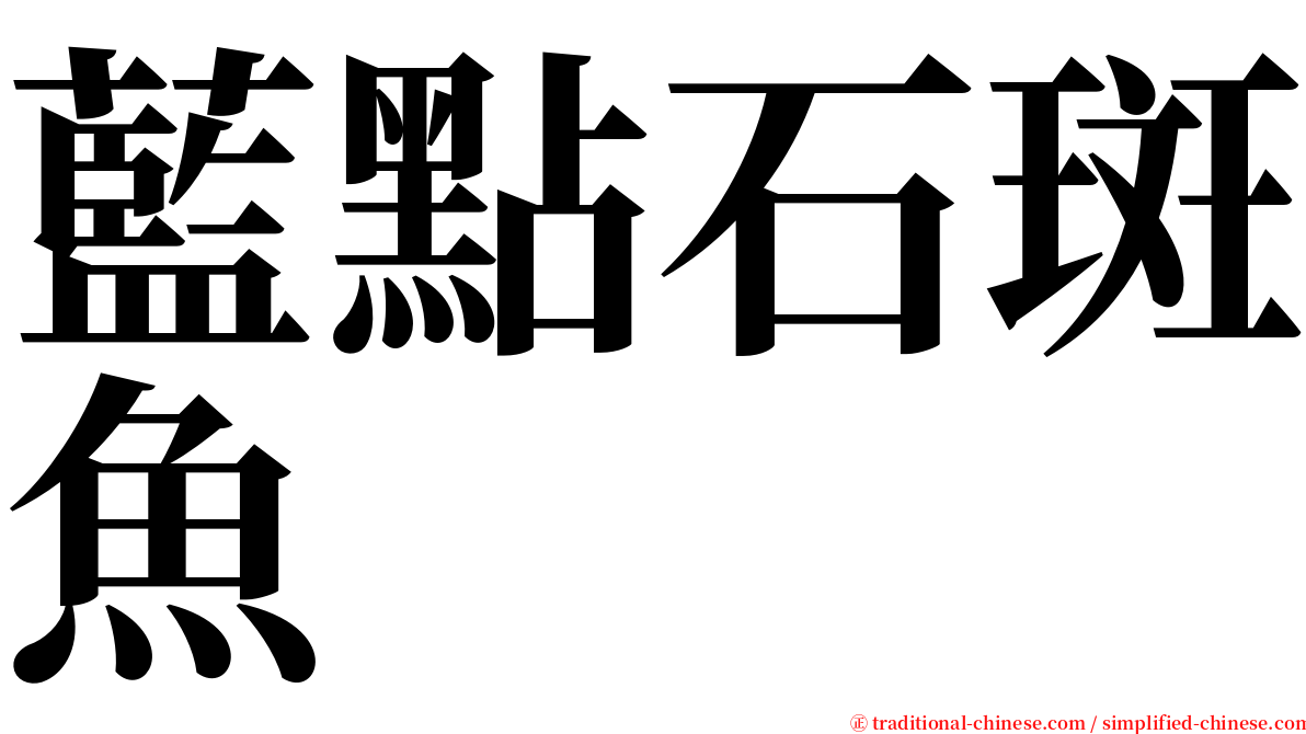 藍點石斑魚 serif font