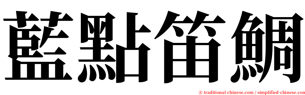 藍點笛鯛 serif font