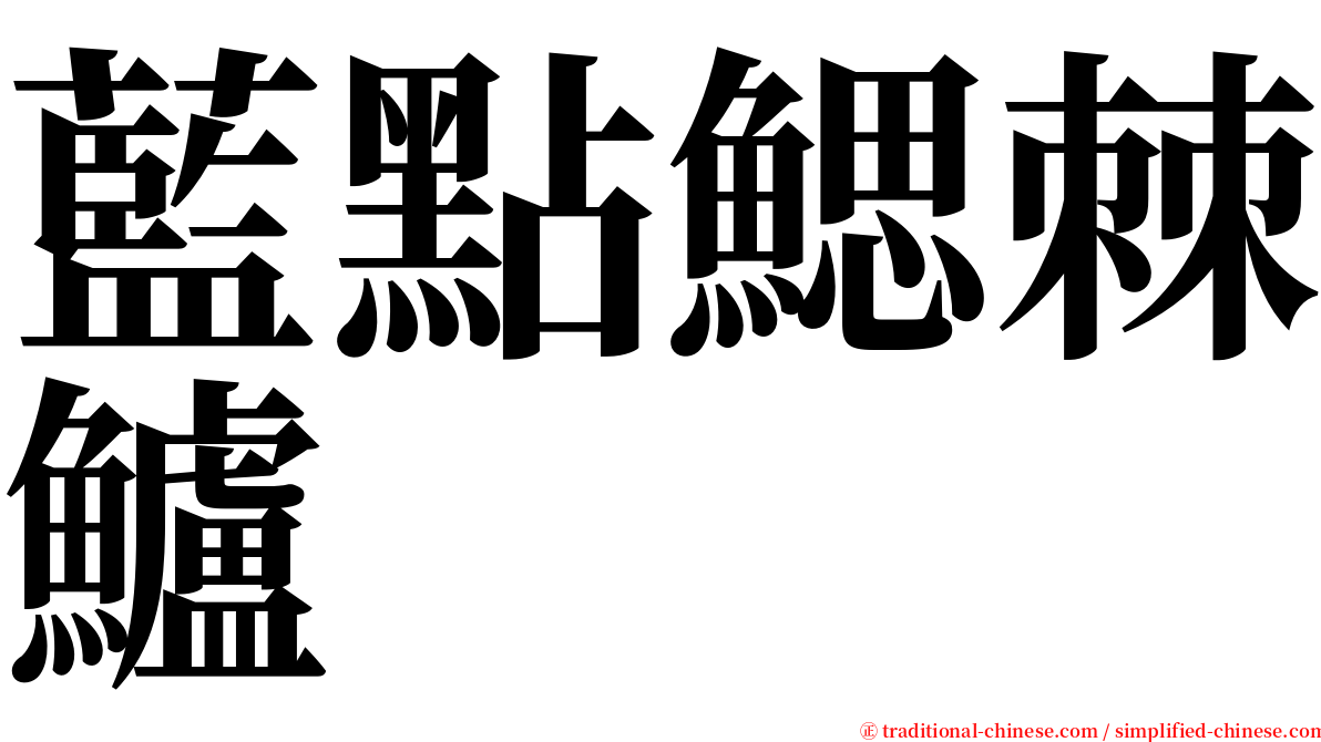 藍點鰓棘鱸 serif font