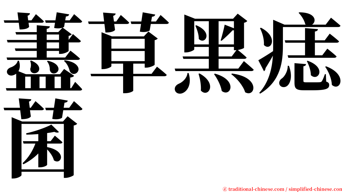 藎草黑痣菌 serif font