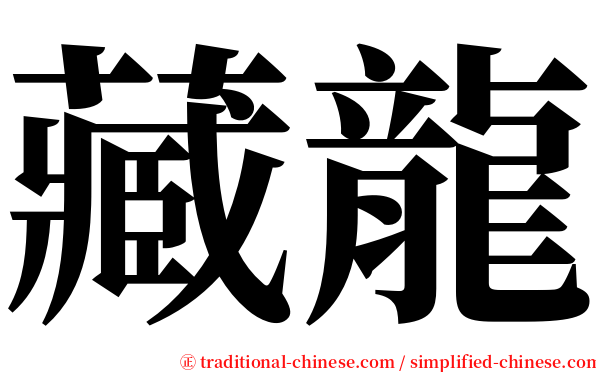 藏龍 serif font