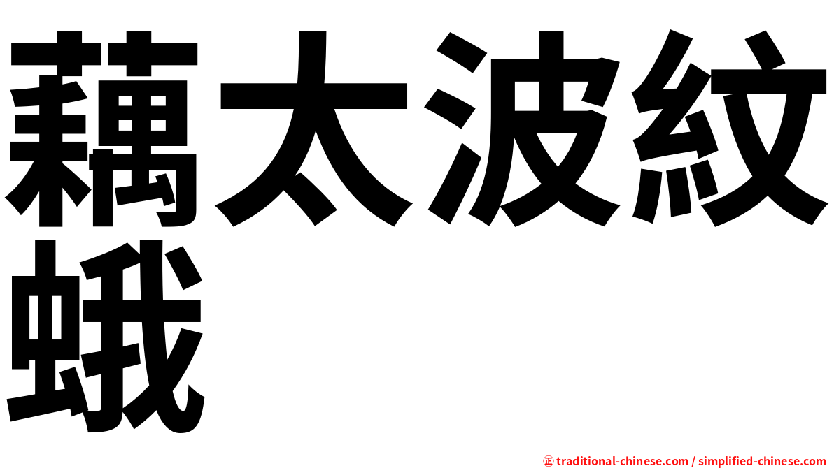 藕太波紋蛾
