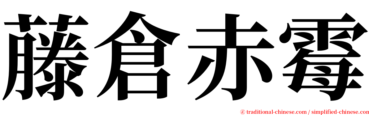藤倉赤霉 serif font