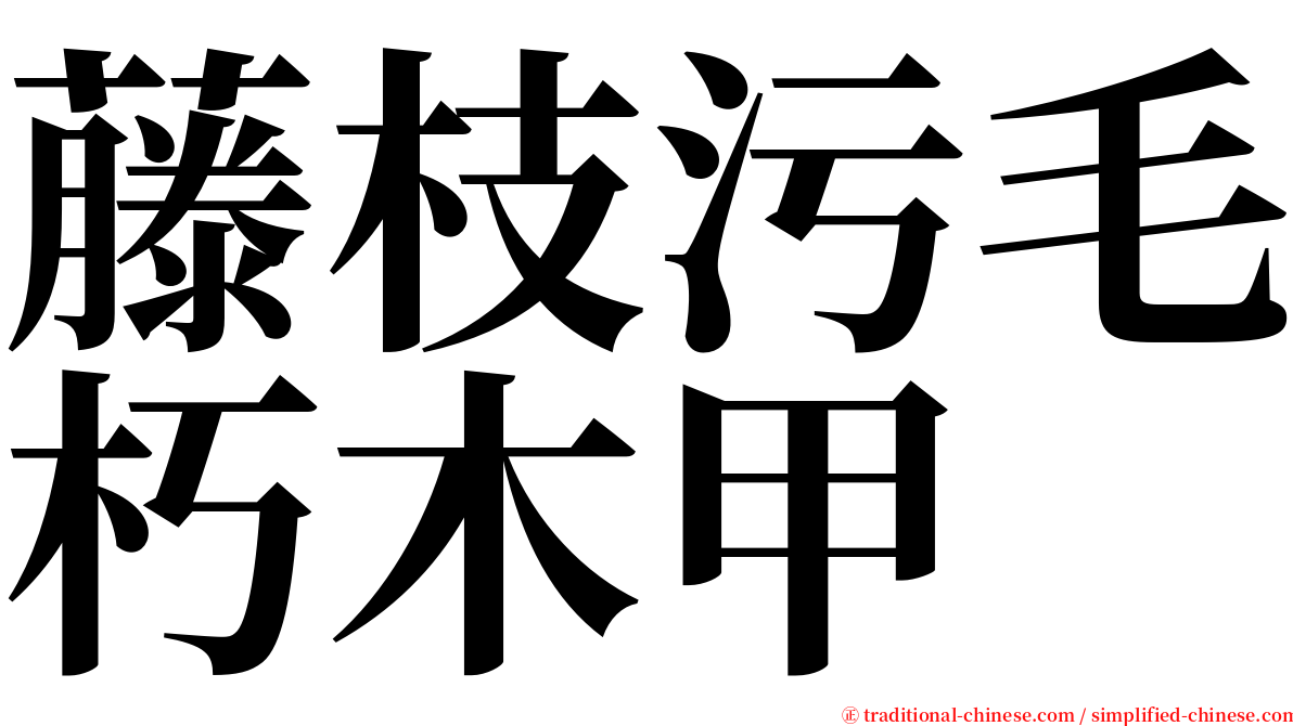 藤枝污毛朽木甲 serif font