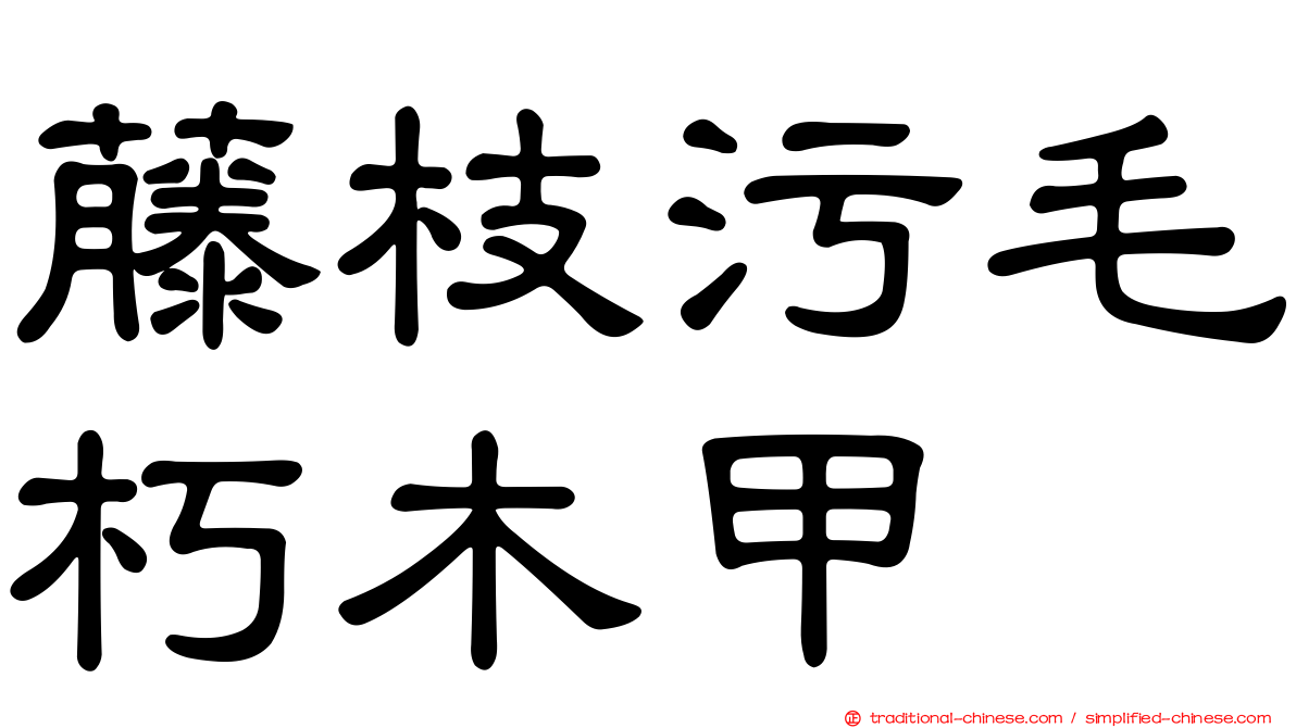 藤枝污毛朽木甲