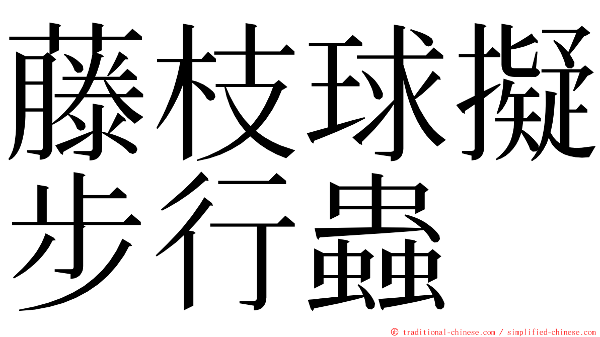 藤枝球擬步行蟲 ming font