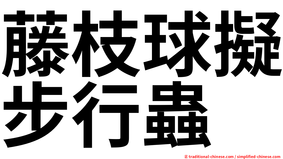 藤枝球擬步行蟲