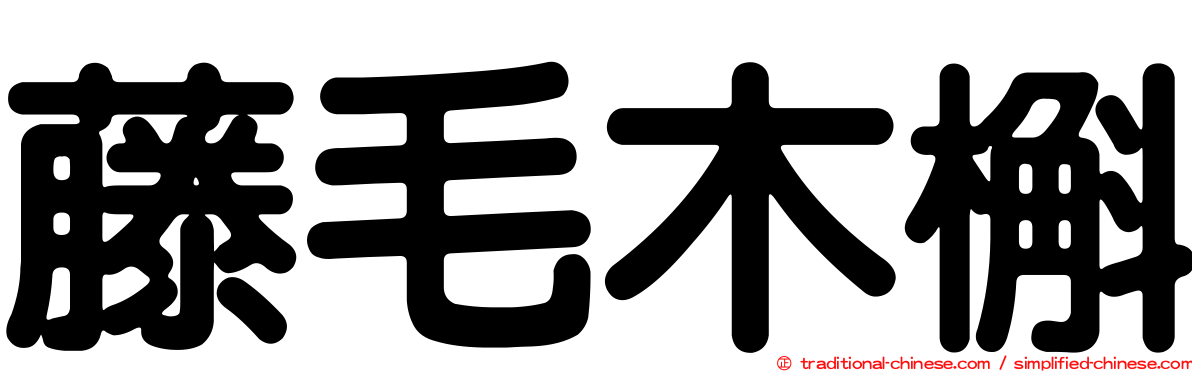 藤毛木槲