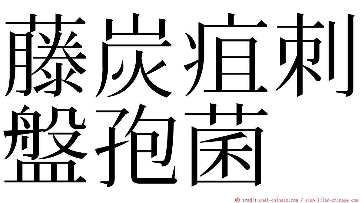 藤炭疽刺盤孢菌 ming font