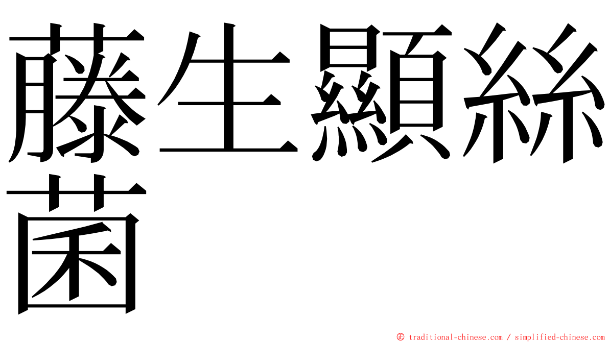 藤生顯絲菌 ming font