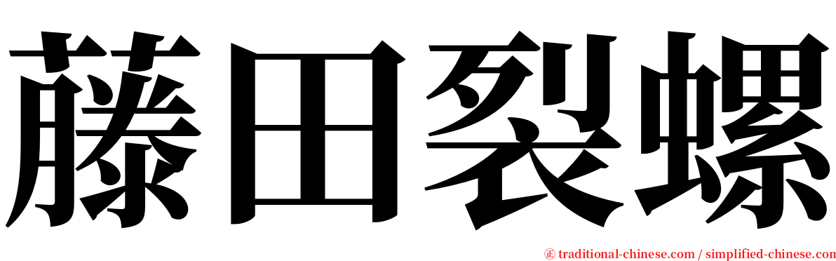 藤田裂螺 serif font
