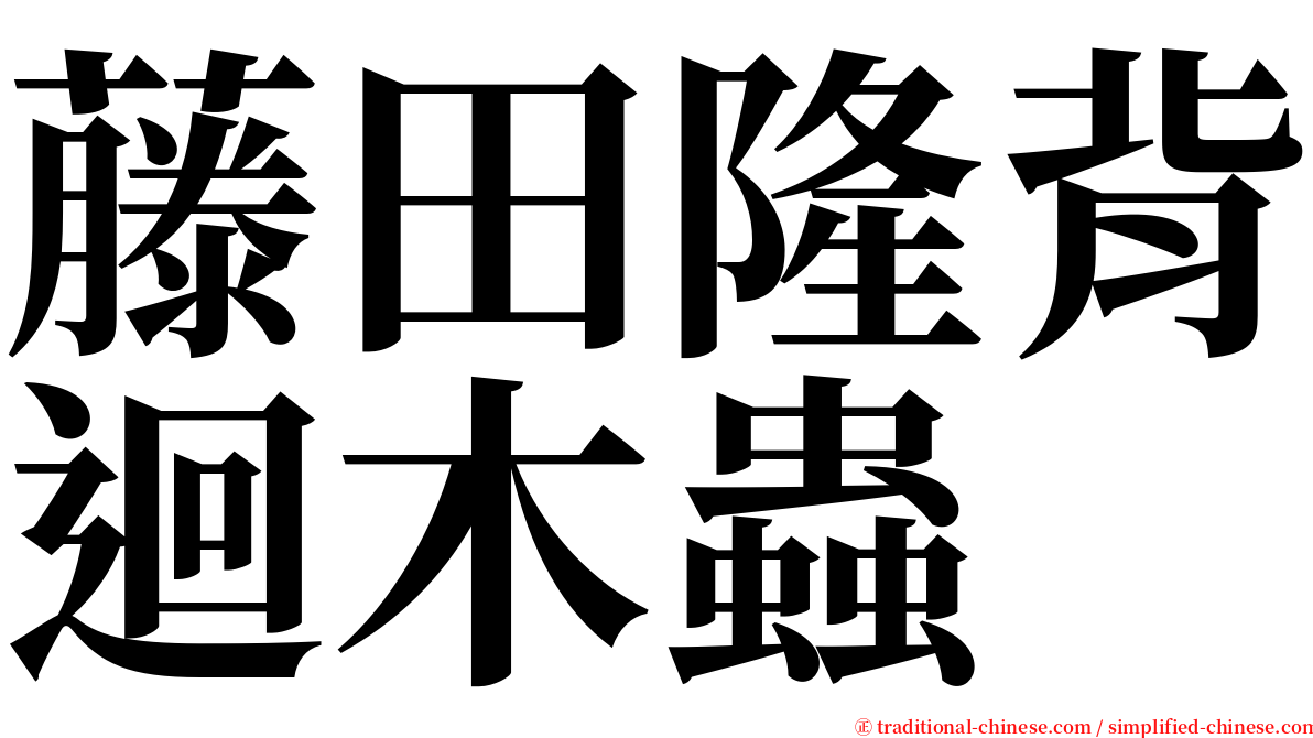 藤田隆背迴木蟲 serif font