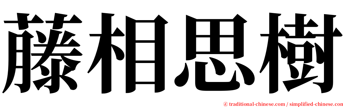 藤相思樹 serif font