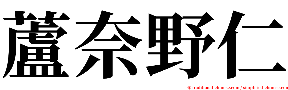蘆奈野仁 serif font