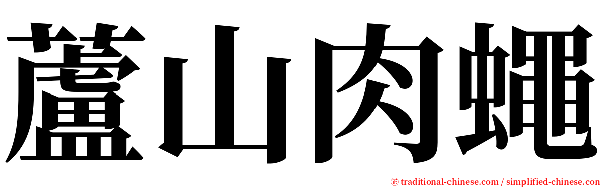 蘆山肉蠅 serif font