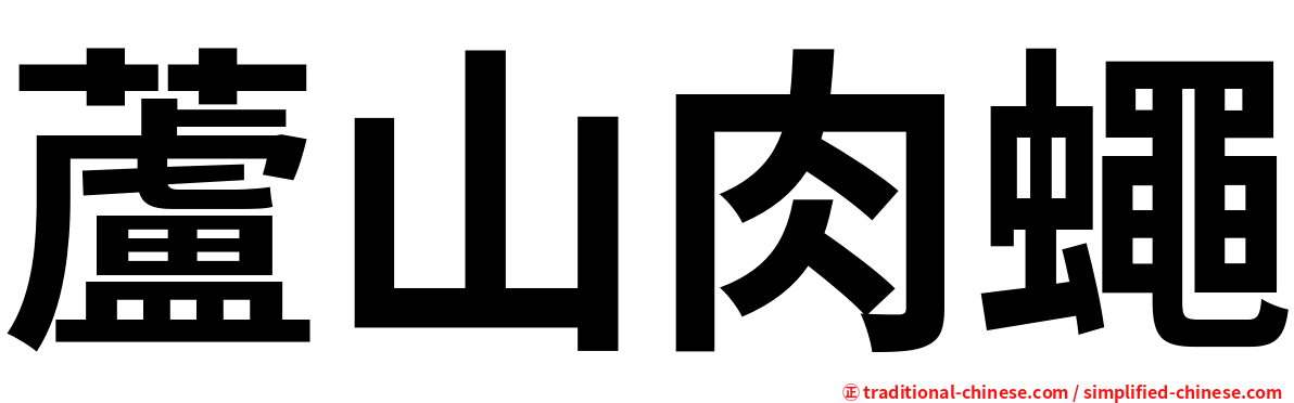 蘆山肉蠅