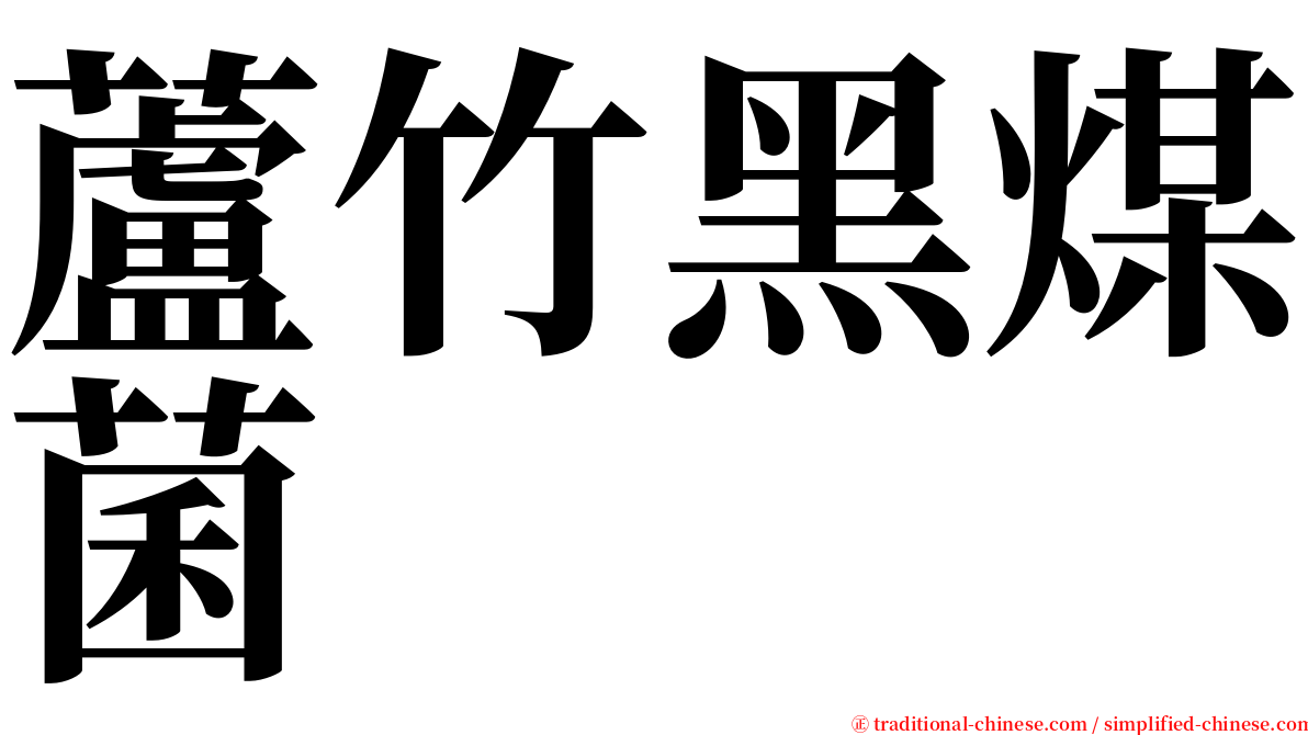 蘆竹黑煤菌 serif font