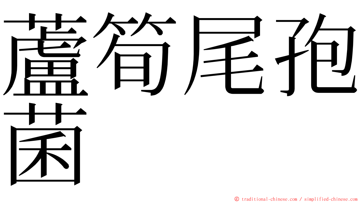 蘆筍尾孢菌 ming font