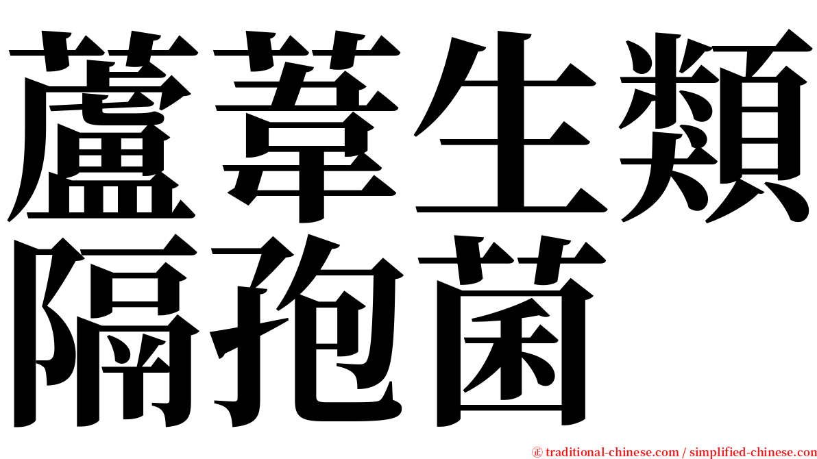 蘆葦生類隔孢菌 serif font