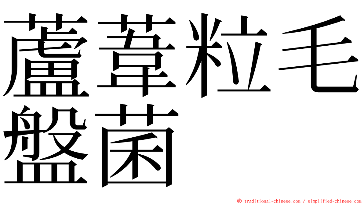 蘆葦粒毛盤菌 ming font