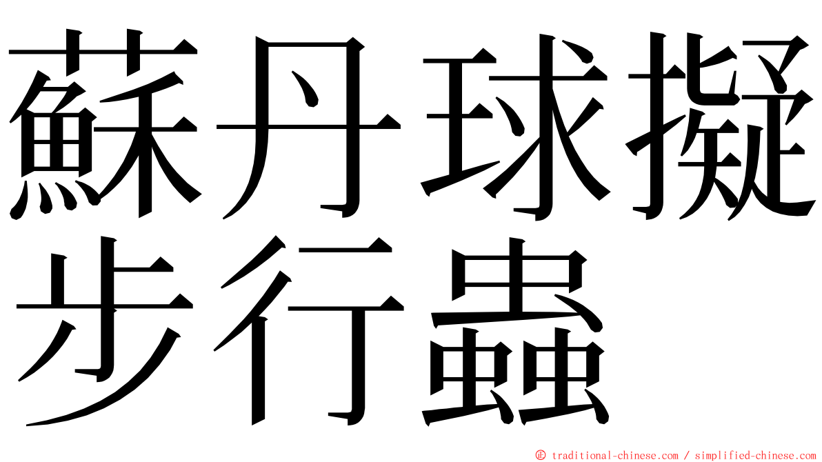 蘇丹球擬步行蟲 ming font