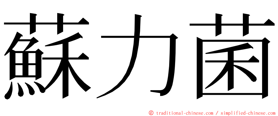 蘇力菌 ming font