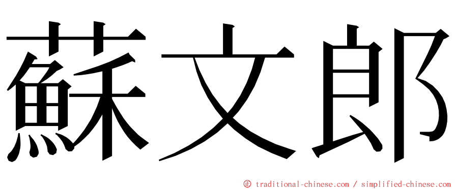 蘇文郎 ming font