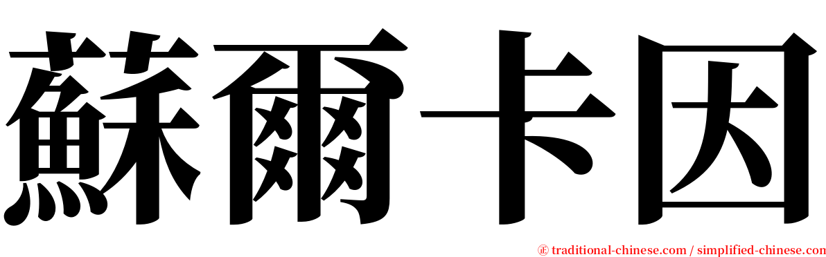 蘇爾卡因 serif font