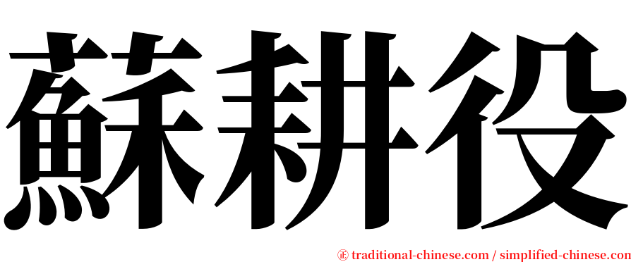 蘇耕役 serif font