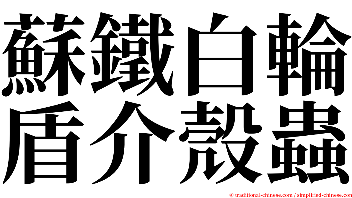 蘇鐵白輪盾介殼蟲 serif font