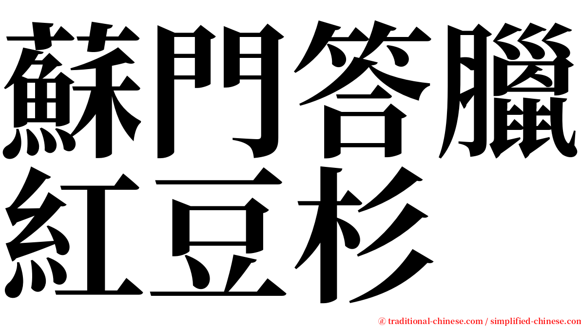 蘇門答臘紅豆杉 serif font