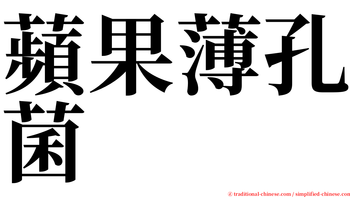 蘋果薄孔菌 serif font