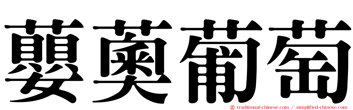 蘡薁葡萄