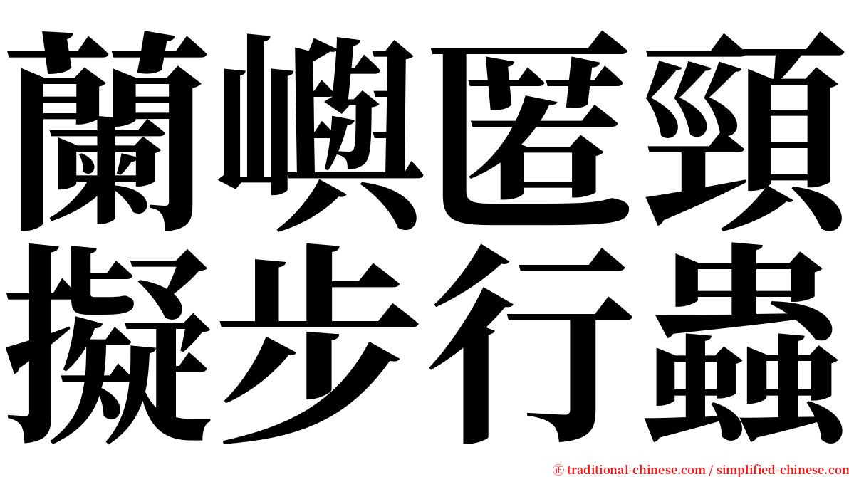 蘭嶼匿頸擬步行蟲 serif font