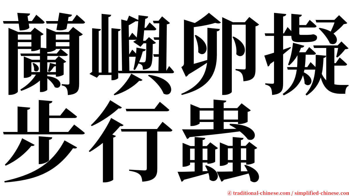 蘭嶼卵擬步行蟲 serif font