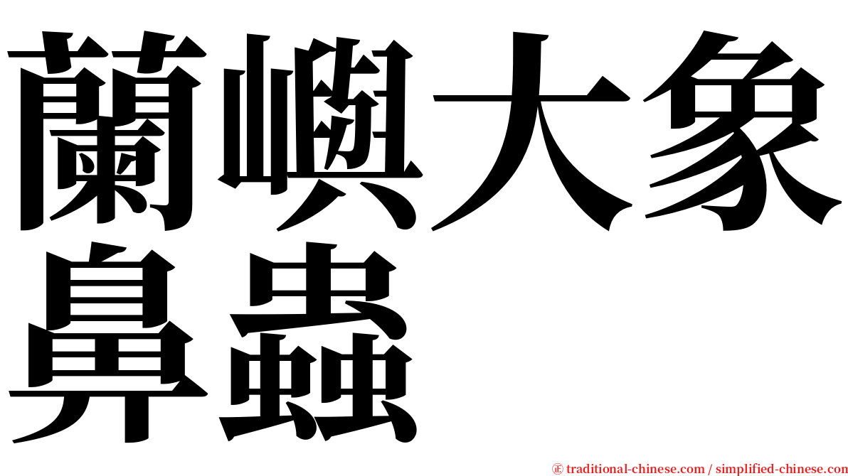 蘭嶼大象鼻蟲 serif font