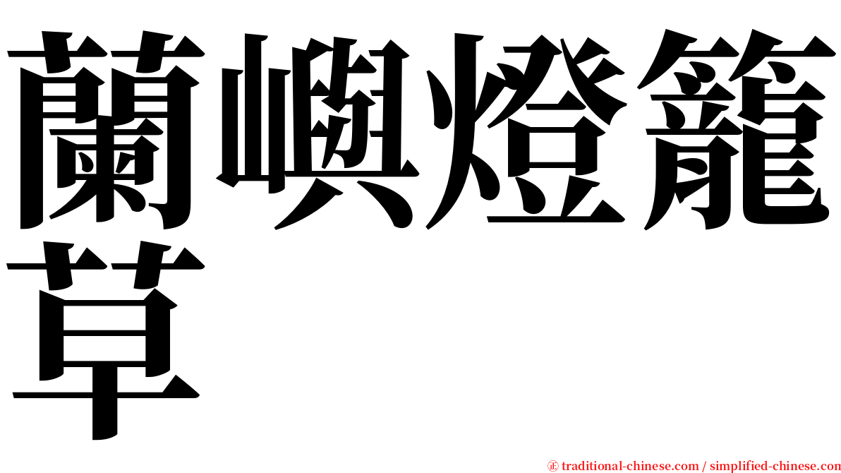 蘭嶼燈籠草 serif font