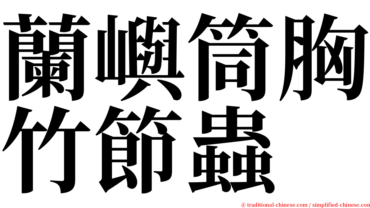 蘭嶼筒胸竹節蟲 serif font