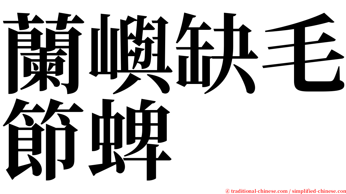 蘭嶼缺毛節蜱 serif font