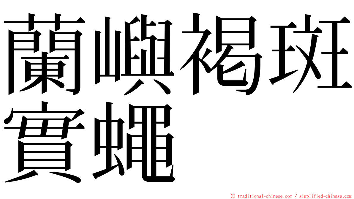 蘭嶼褐斑實蠅 ming font