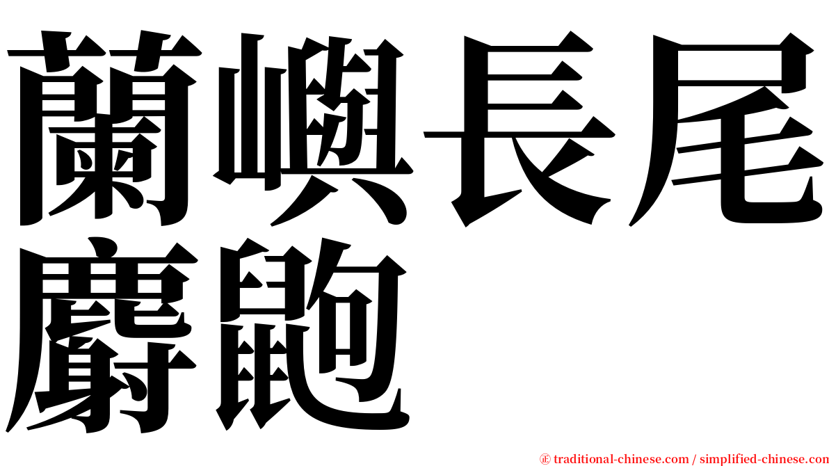 蘭嶼長尾麝鼩 serif font