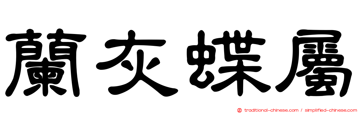 蘭灰蝶屬