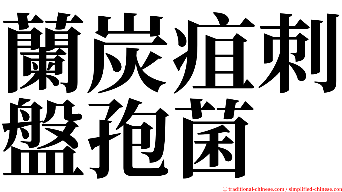 蘭炭疽刺盤孢菌 serif font